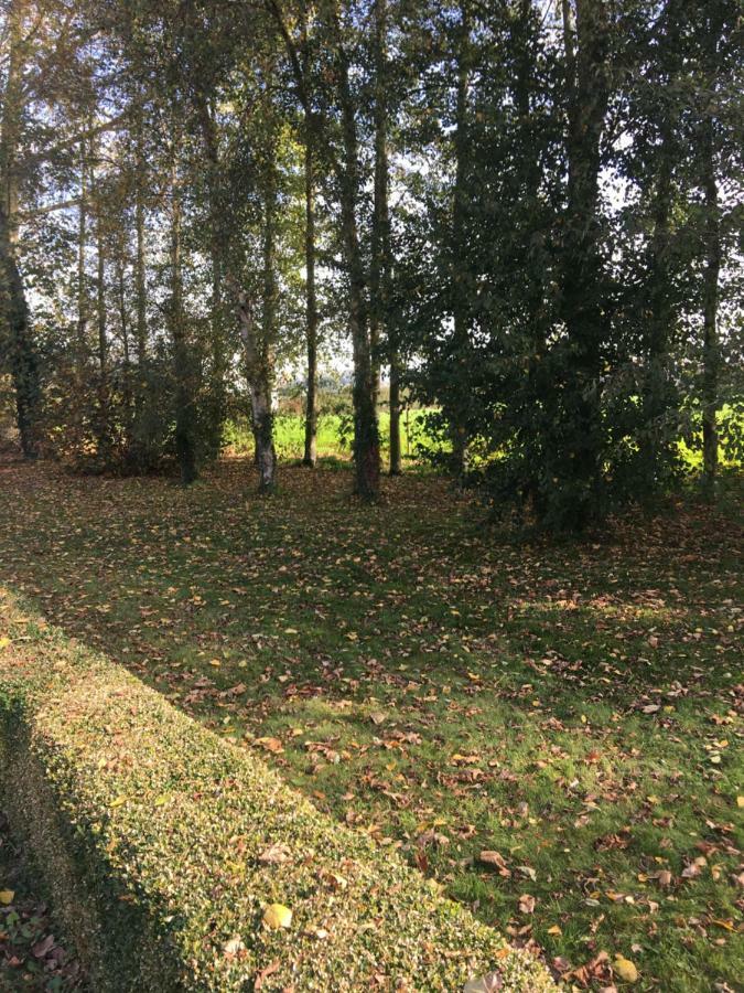 Au Coeur De La Flandre Leilighet Noordpeene Eksteriør bilde