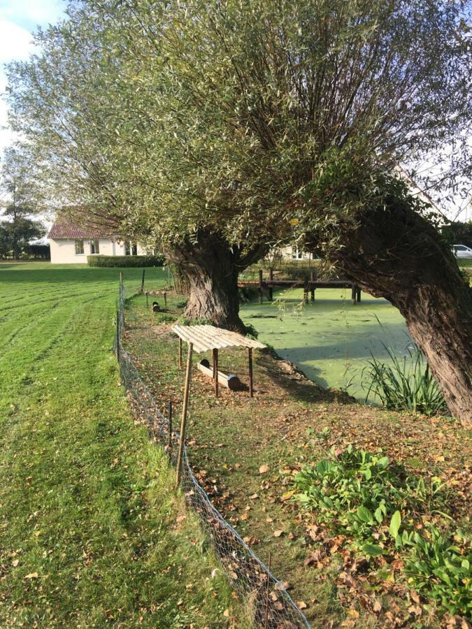 Au Coeur De La Flandre Leilighet Noordpeene Eksteriør bilde