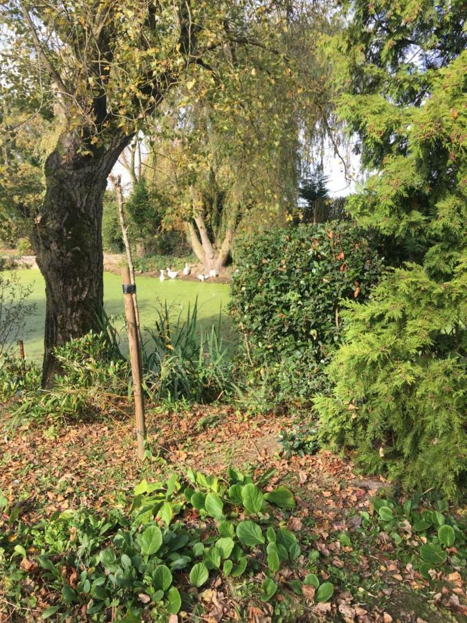 Au Coeur De La Flandre Leilighet Noordpeene Eksteriør bilde