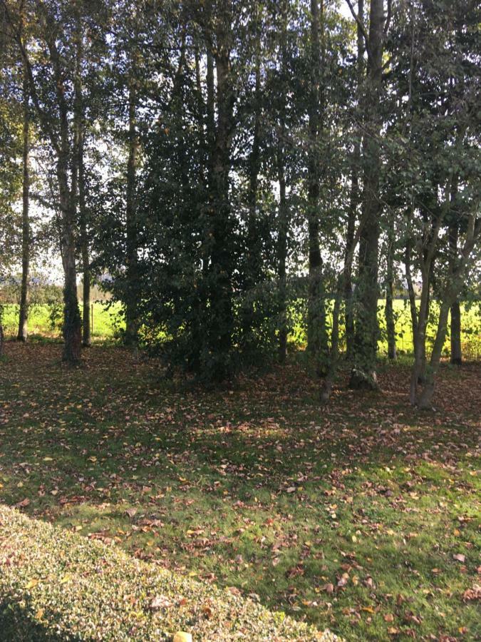 Au Coeur De La Flandre Leilighet Noordpeene Eksteriør bilde