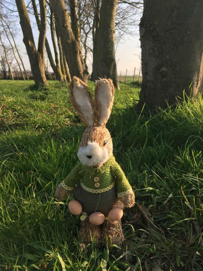 Au Coeur De La Flandre Leilighet Noordpeene Eksteriør bilde